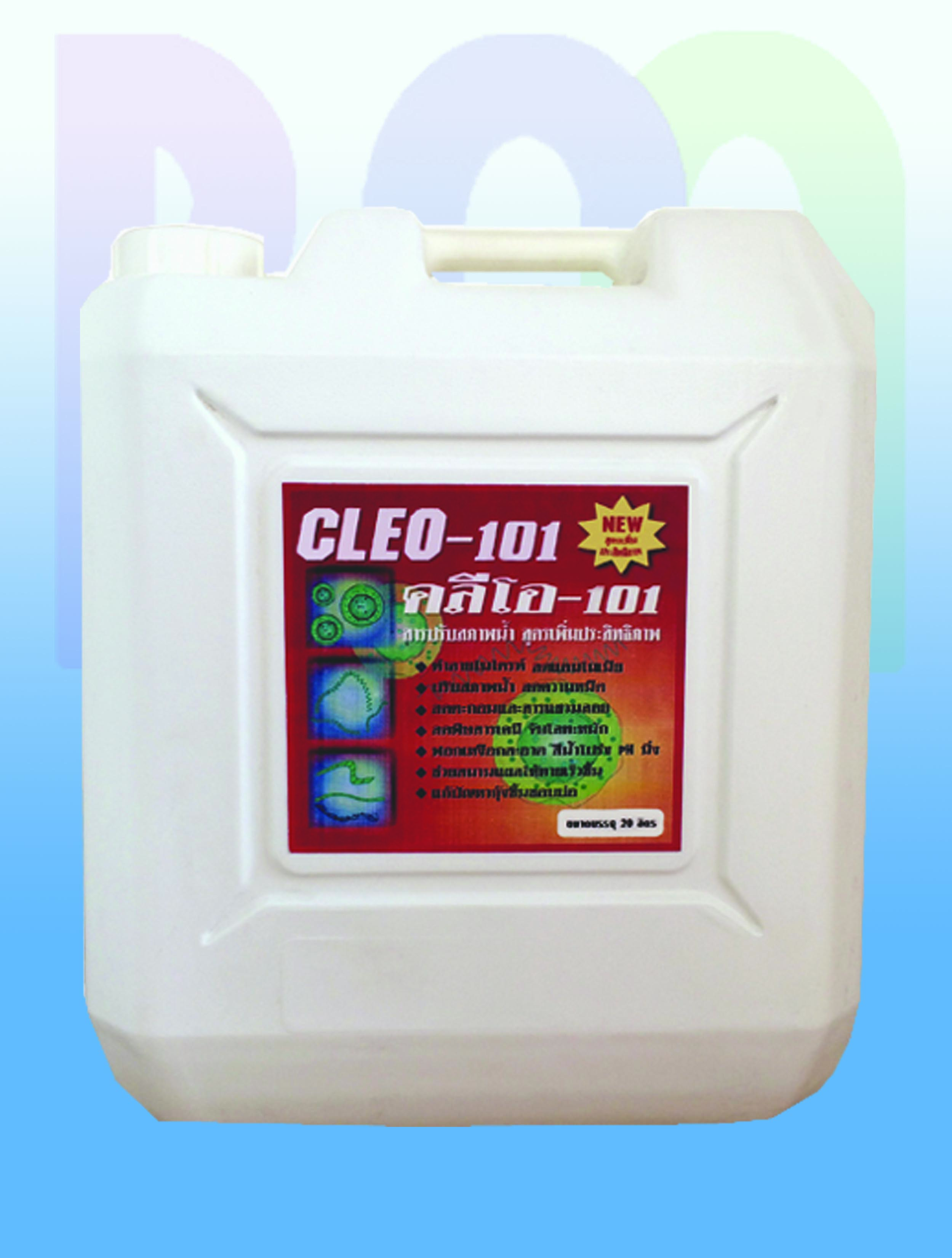 คลีโอ 101 ( CLEO-101 )