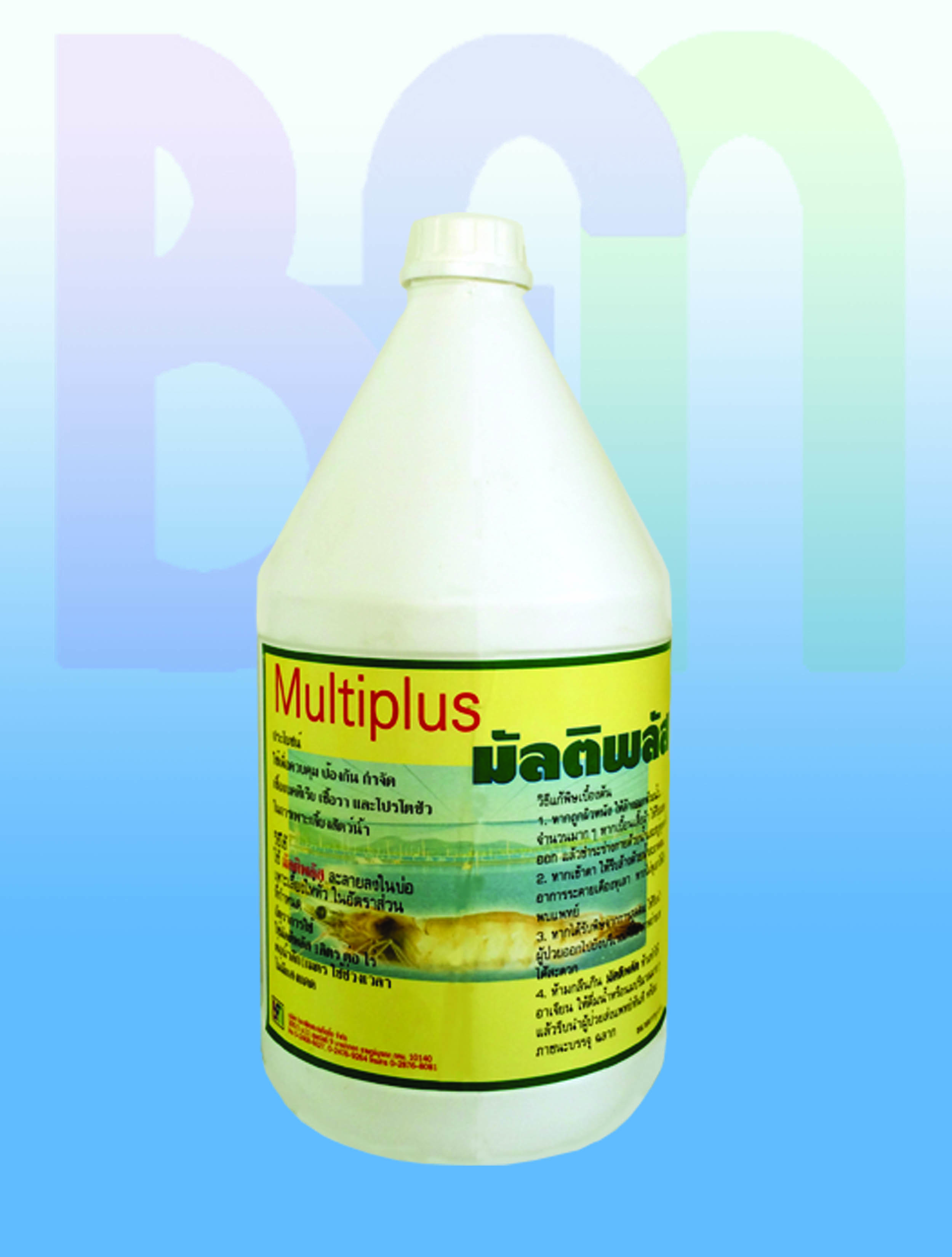 มัลติพลัส ( MULTIPLUS ) 