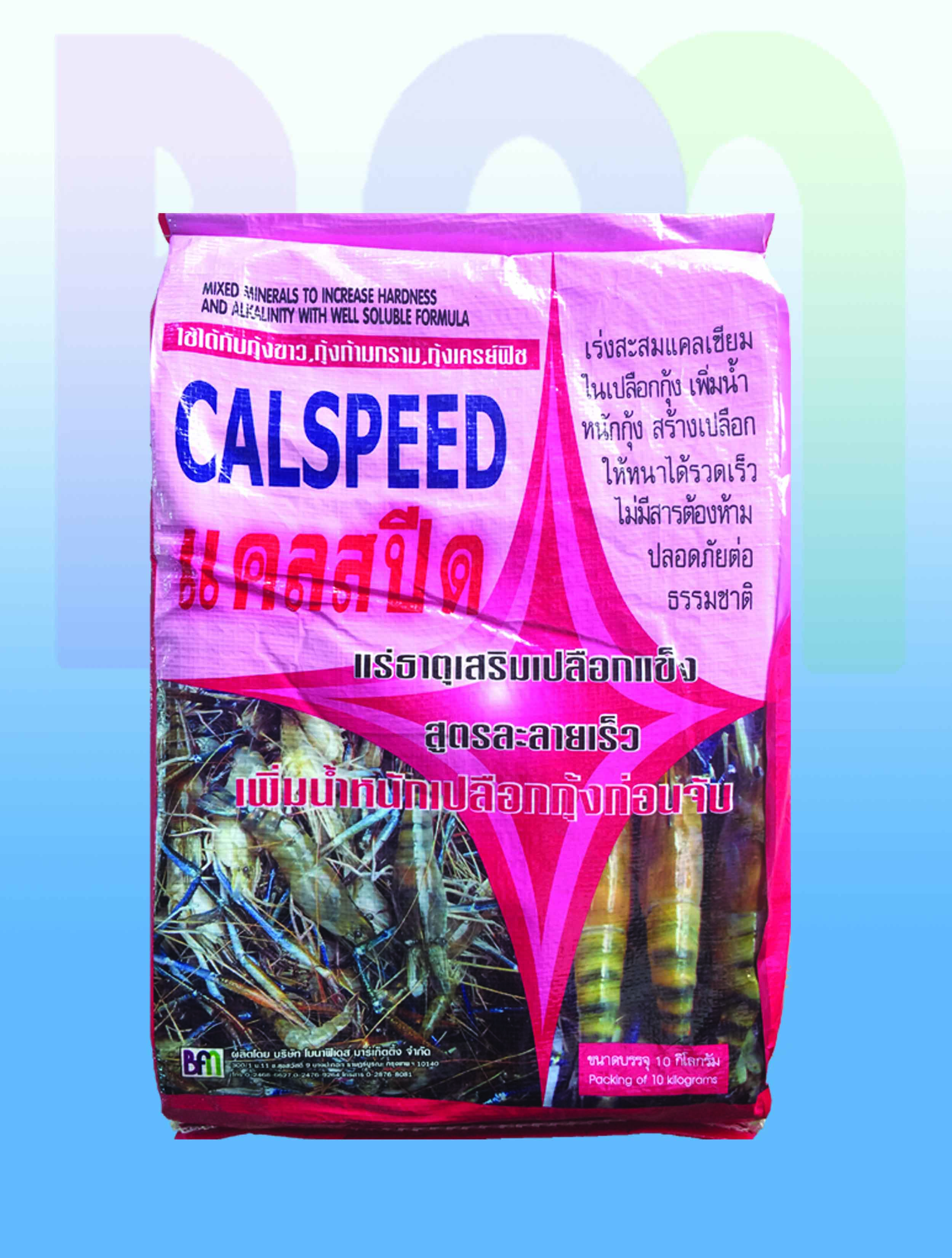 แคลสปีด ( CALSPEED )