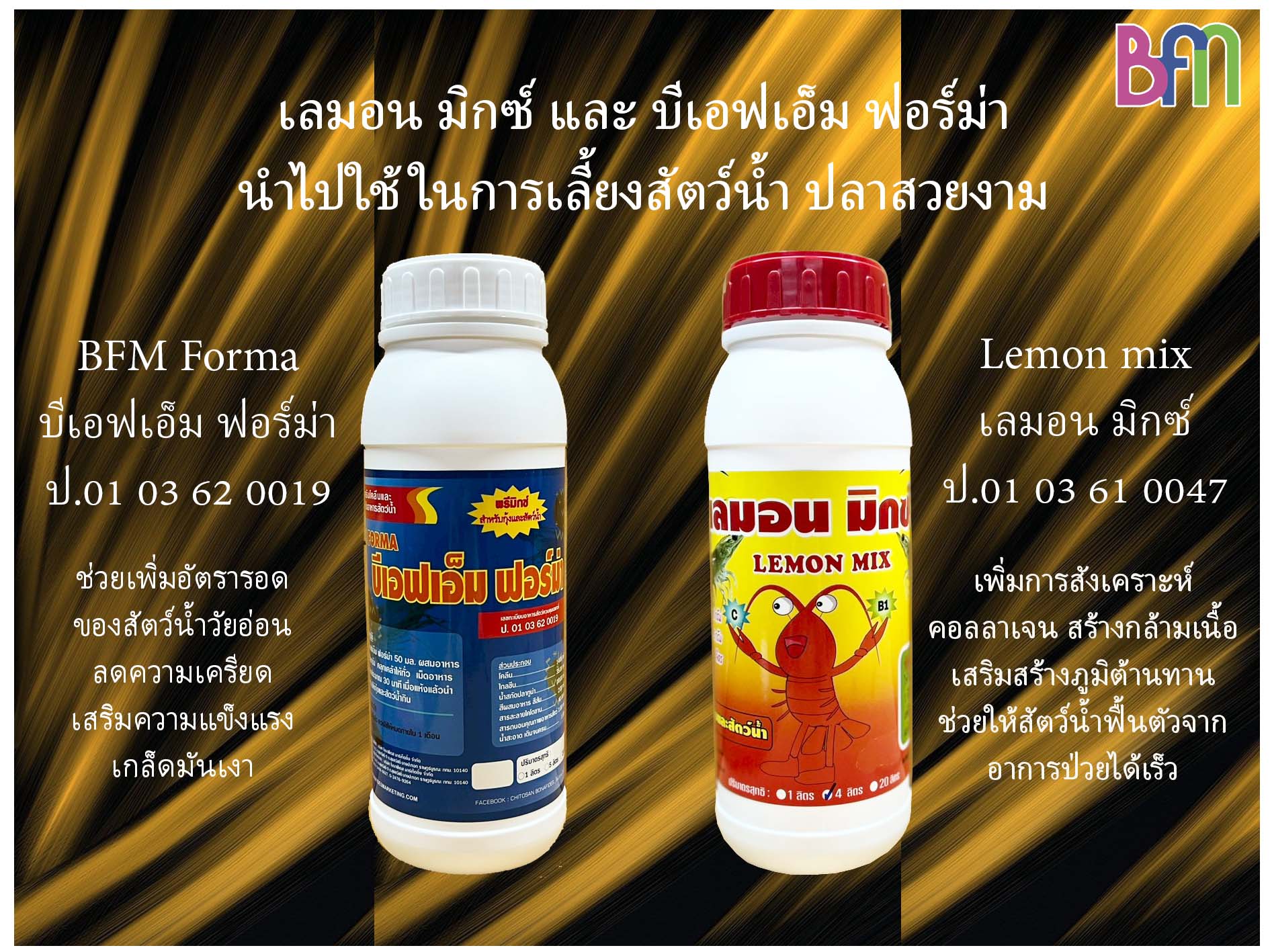 คุณสมบัติ ประโยชน์ของวิตามินและกรดอะมิโนต่างๆ ใน BFM FORMA และ LEMON MIX