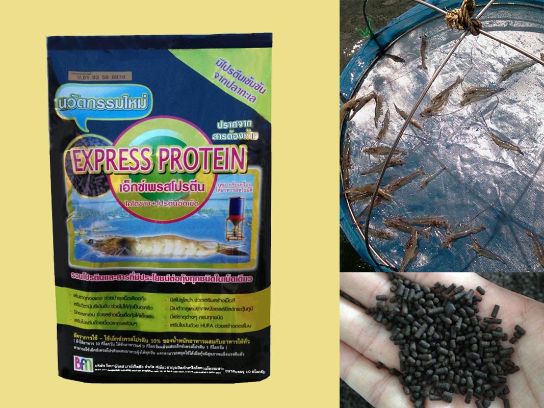 Express protein (เอ็กซ์เพรสโปรตีน)
